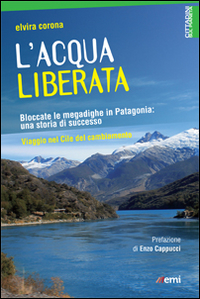 L'acqua liberata. Bloccate le megadighe in Patagonia: una storia di successo. Viaggio nel Cile del cambiamento