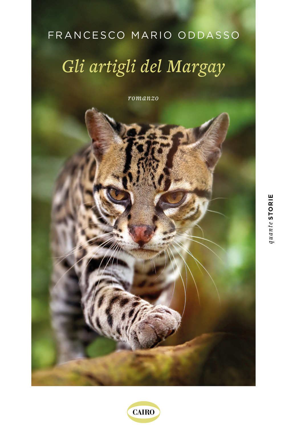 Gli artigli del Margay