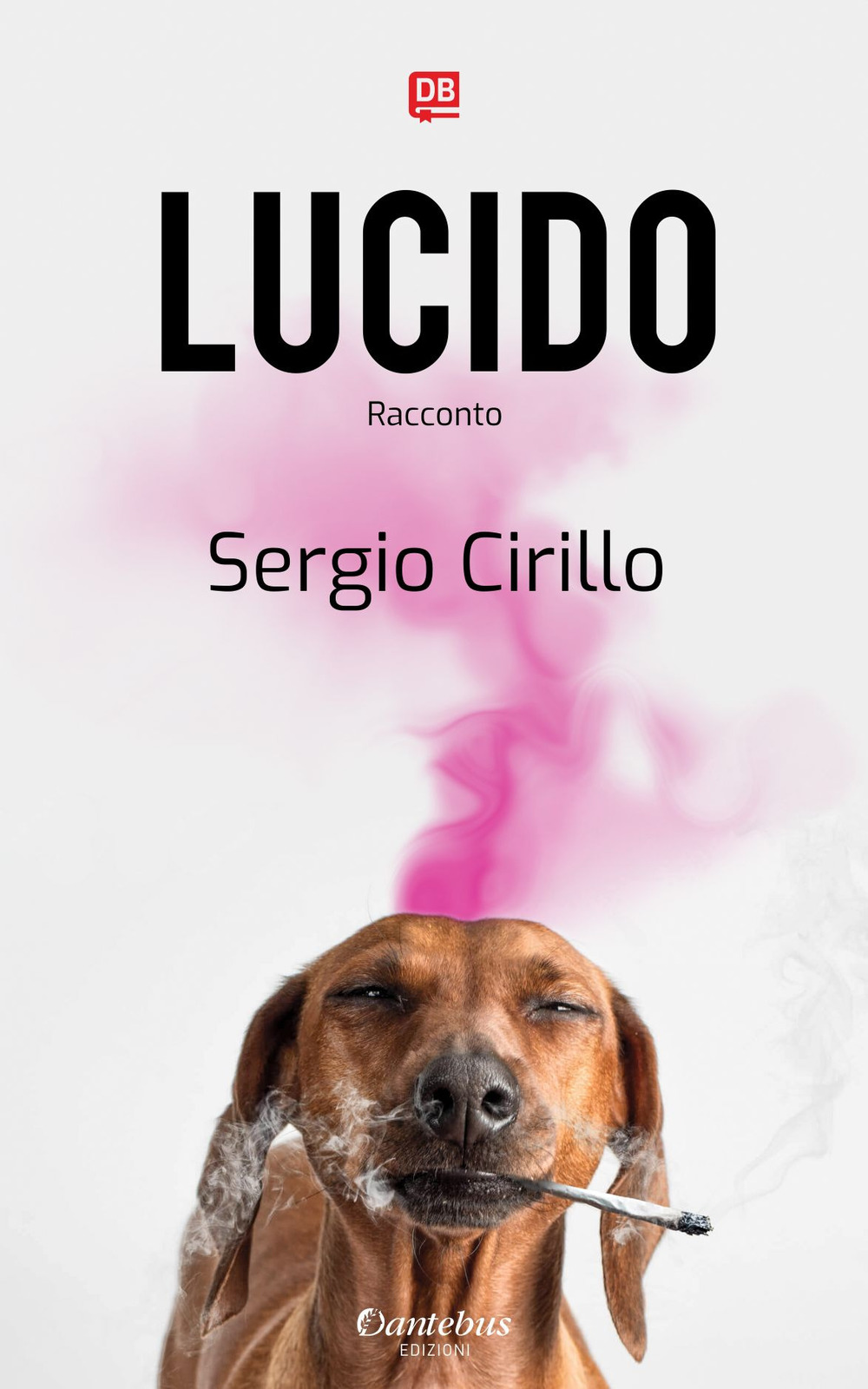 Lucido