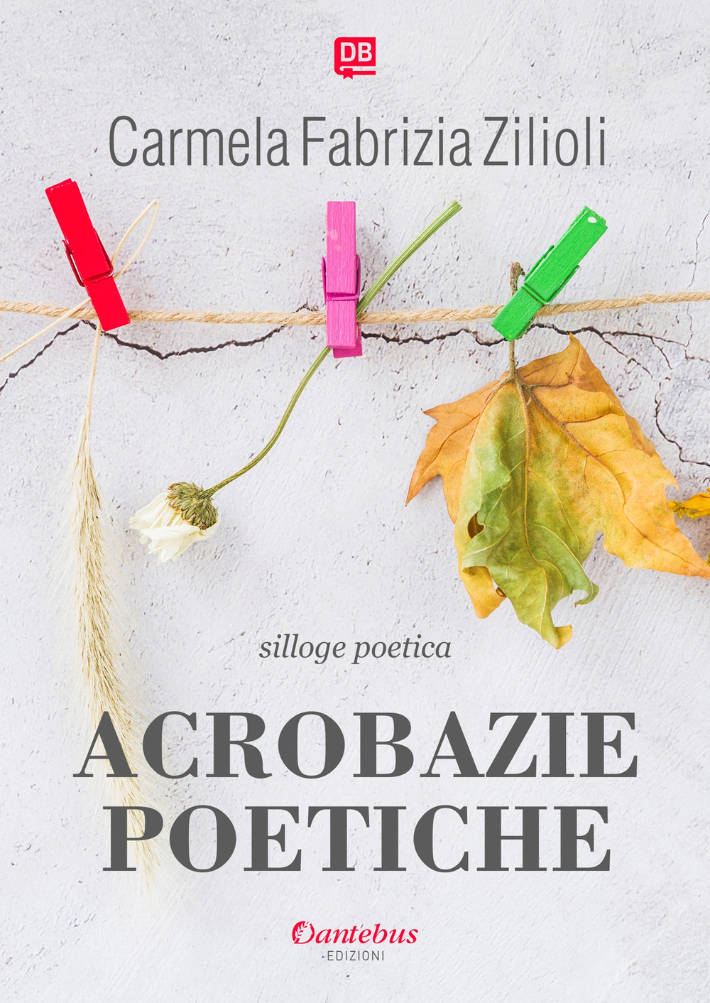 Acrobazie poetiche