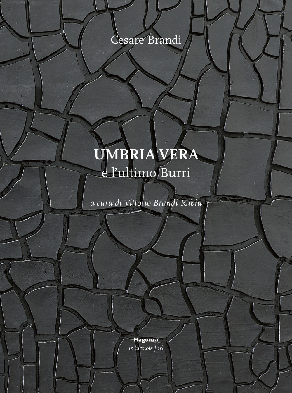 Umbria vera e l'ultimo Burri. Ediz. illustrata