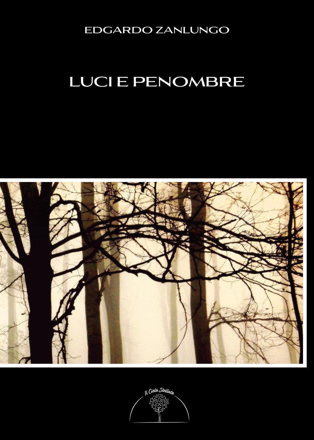 Luci e penombre