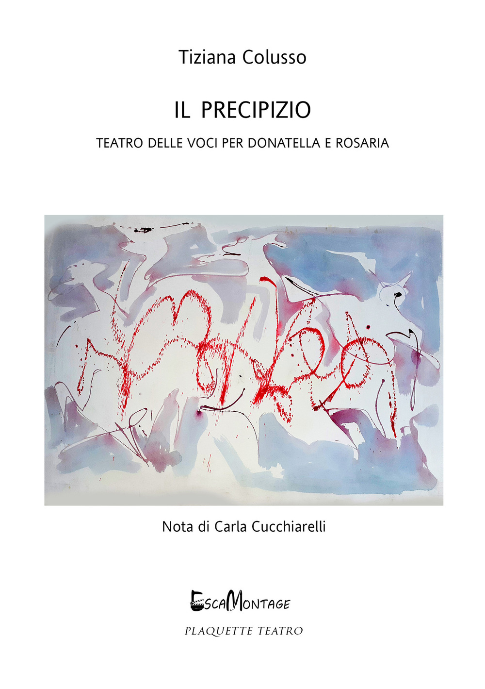 Il precipizio. Teatro delle voci per Donatella e Rosaria. Nuova ediz.