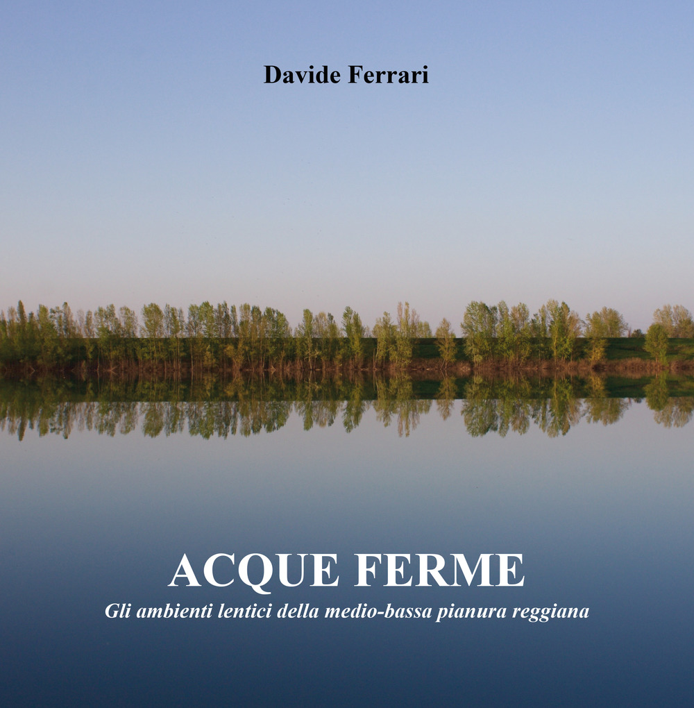 Acque ferme. Ediz. illustrata