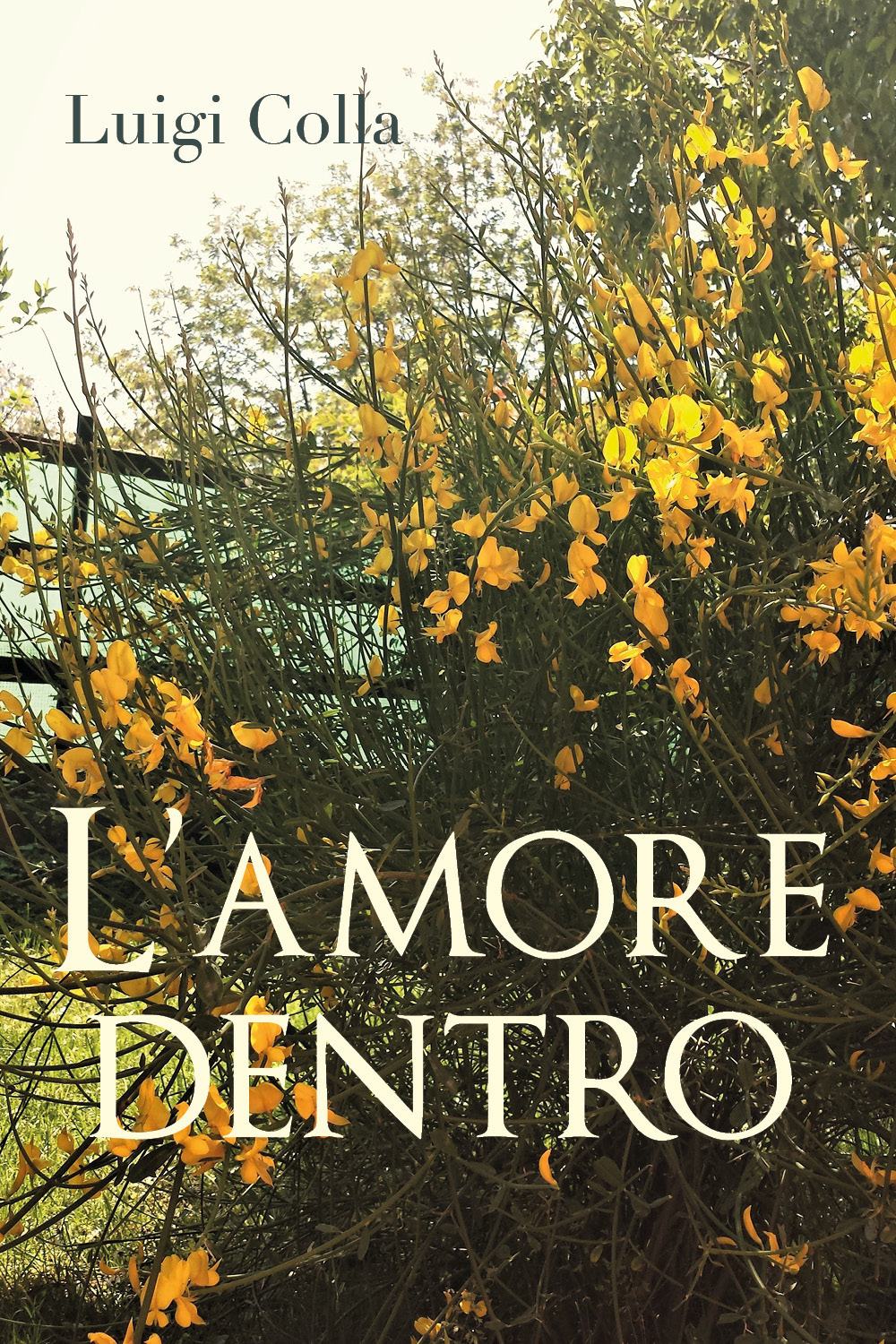 L'amore dentro