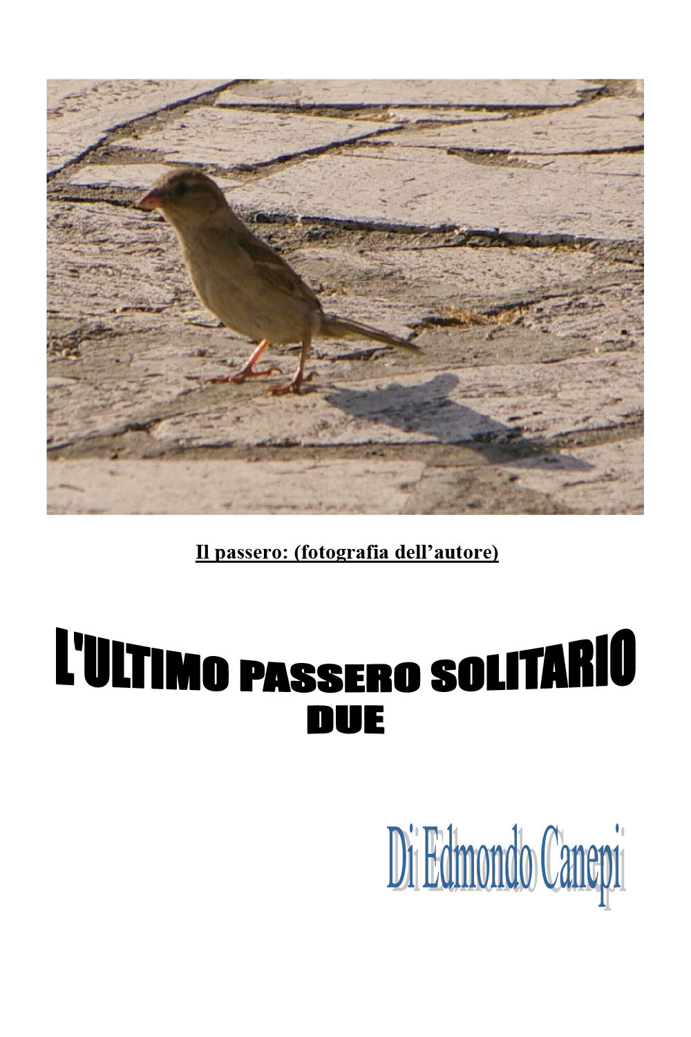 L'ultimo passero solitario