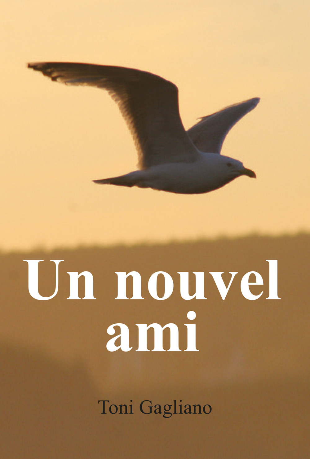 Un nouvel ami