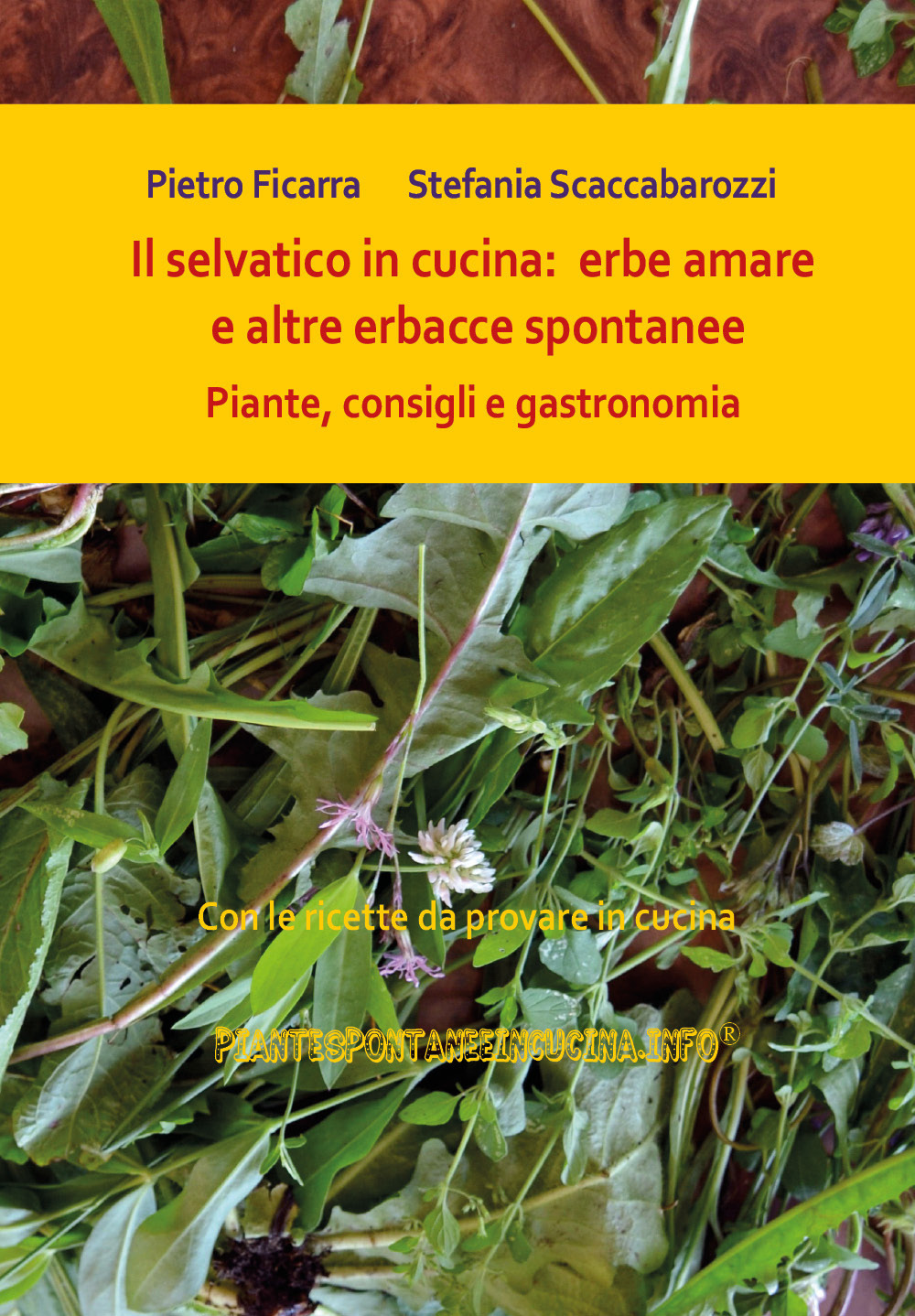 Il selvatico in cucina: erbe amare e altre erbacce spontanee. Piante, consigli e gastronomia