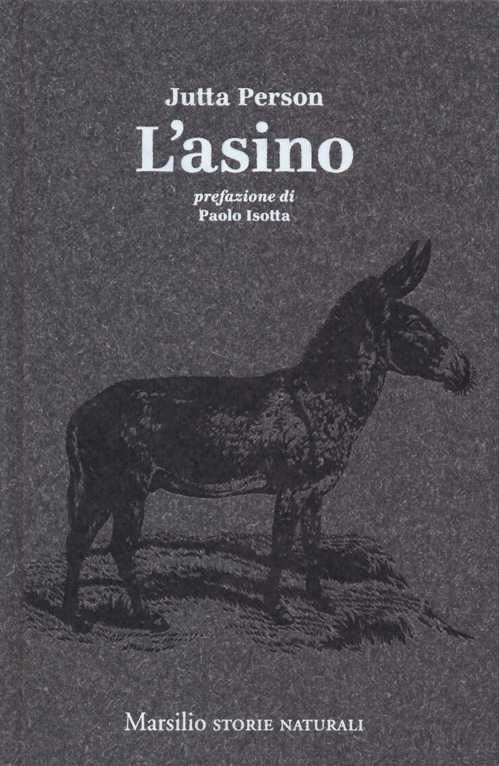 L'asino