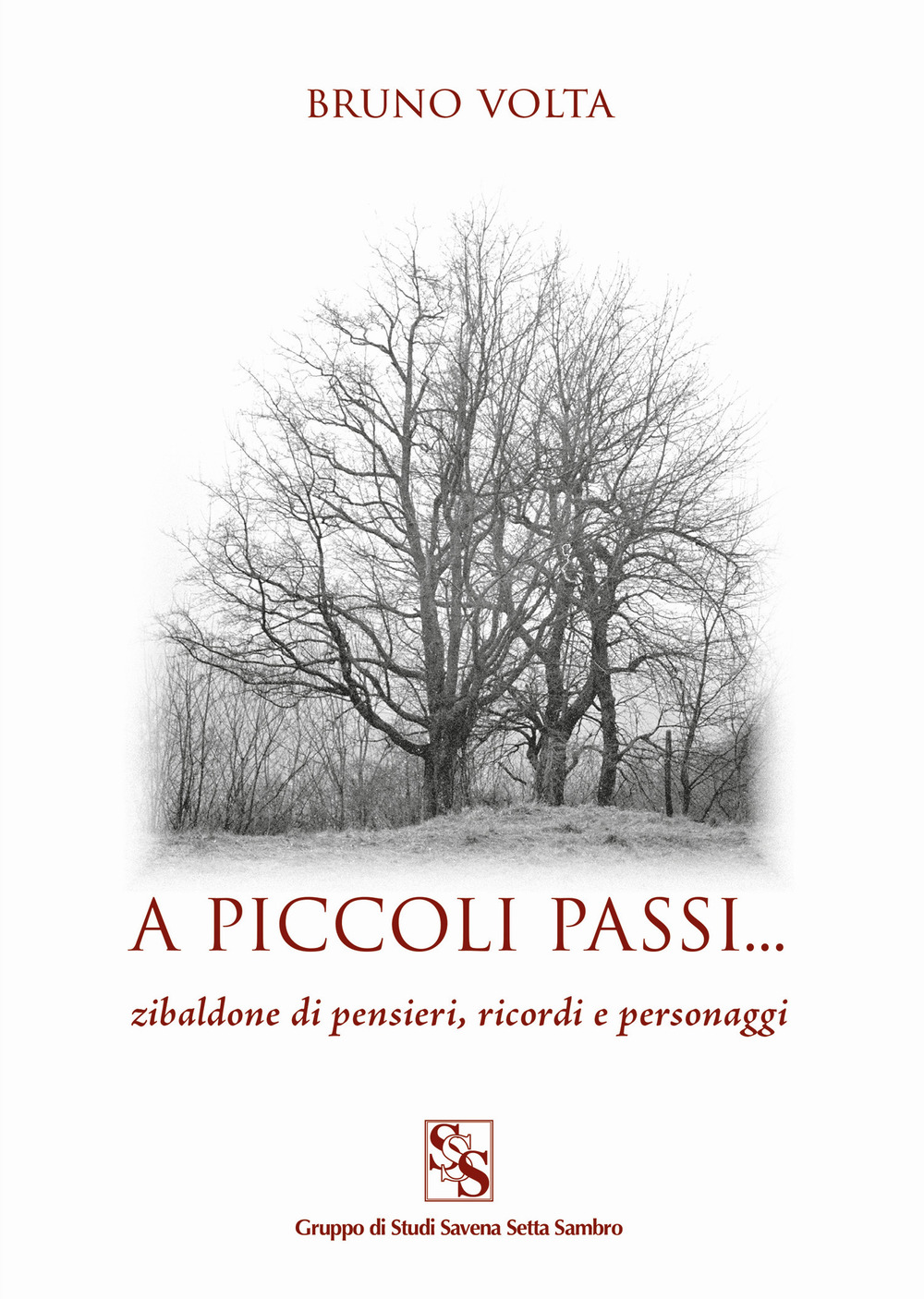 A piccoli passi.... Zibaldone di pensieri, ricordi e personaggi