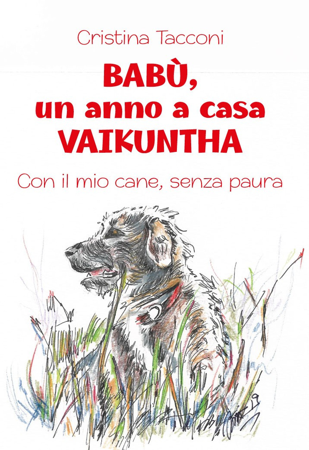 Babù, un anno a casa Vaikuntha. Con il mio cane, senza paura