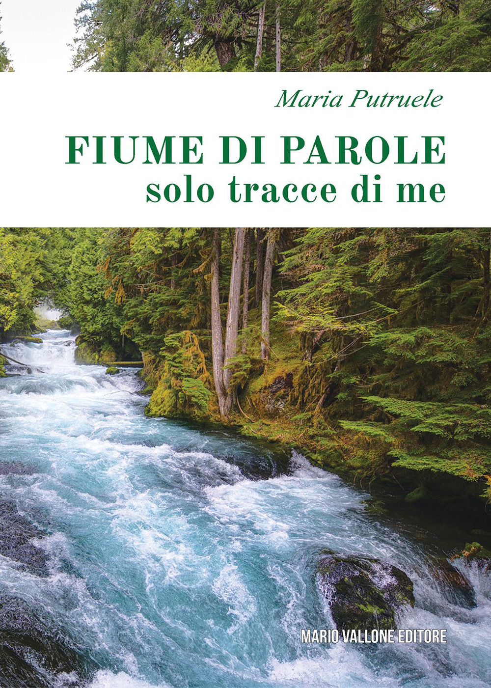 Fiume di parole (solo tracce di me)