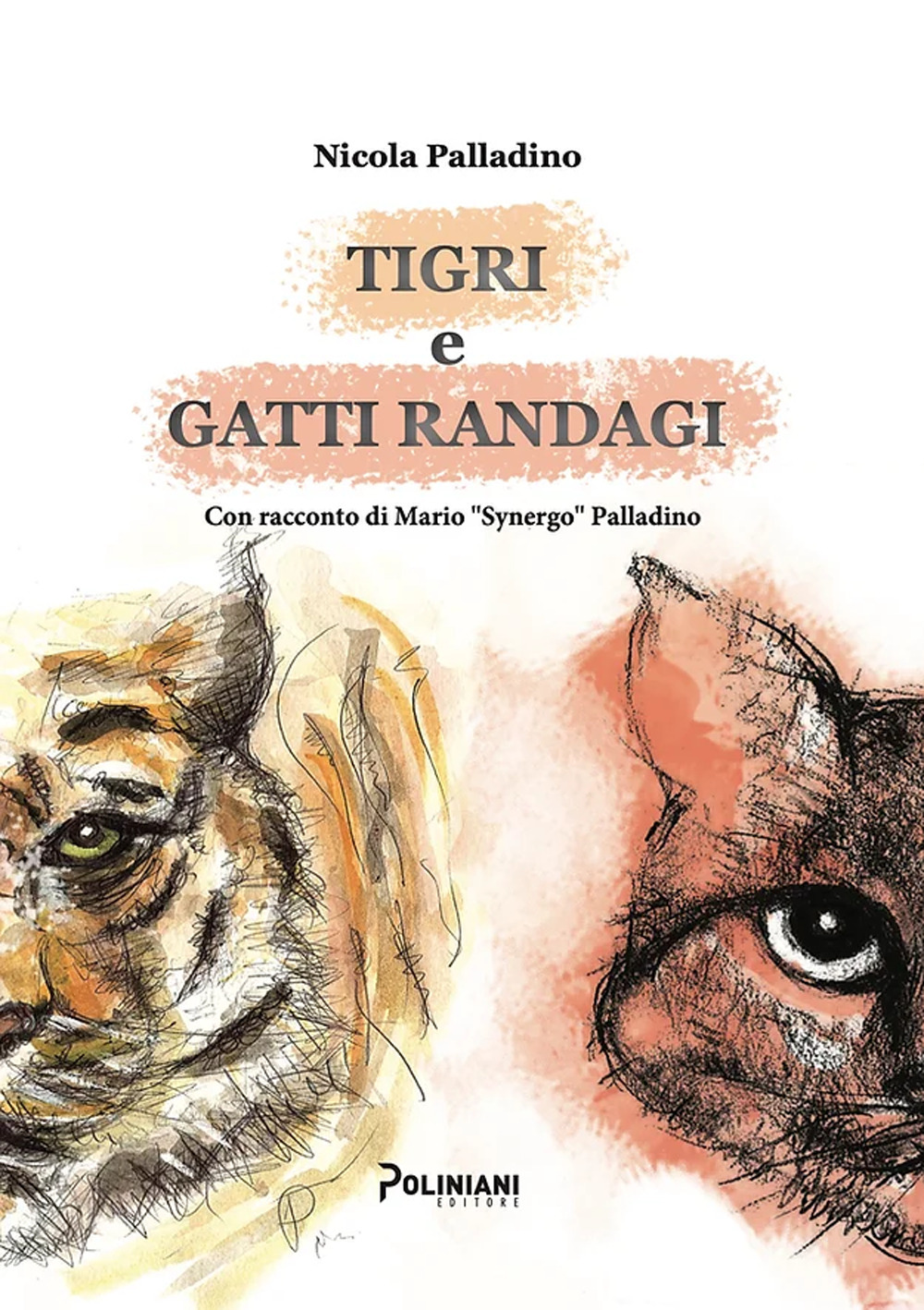 Tigri e gatti randagi