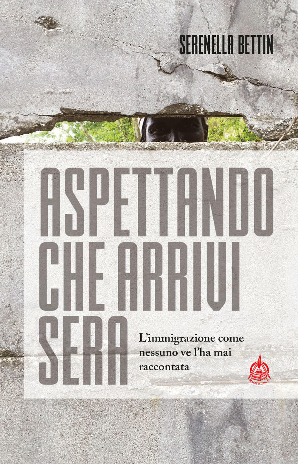 Aspettando che arrivi sera. L'immigrazione come nessuno ve l'ha mai raccontata