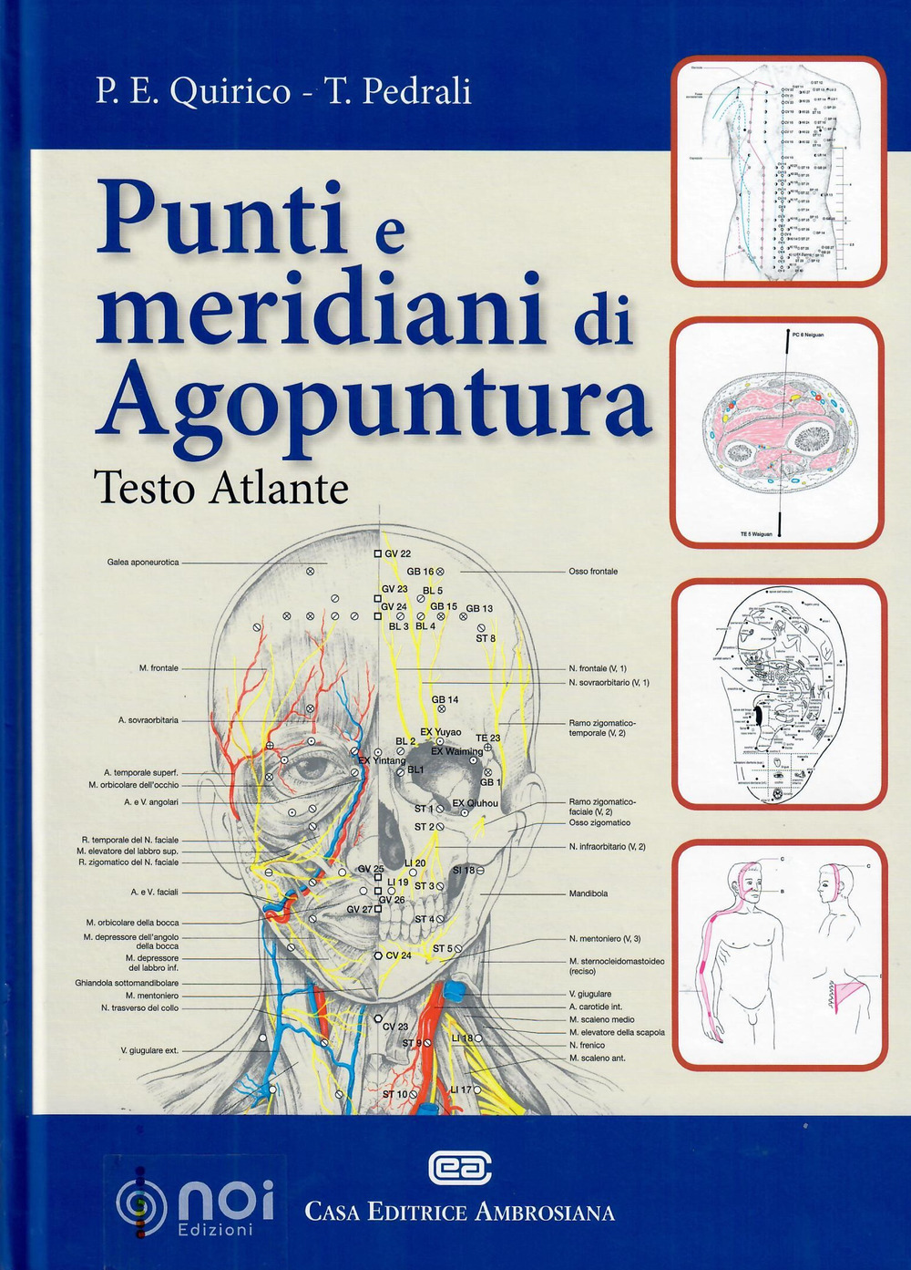 Punti e meridiani di agopuntura