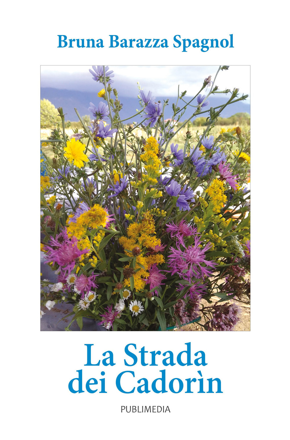 La strada dei Cadorìn