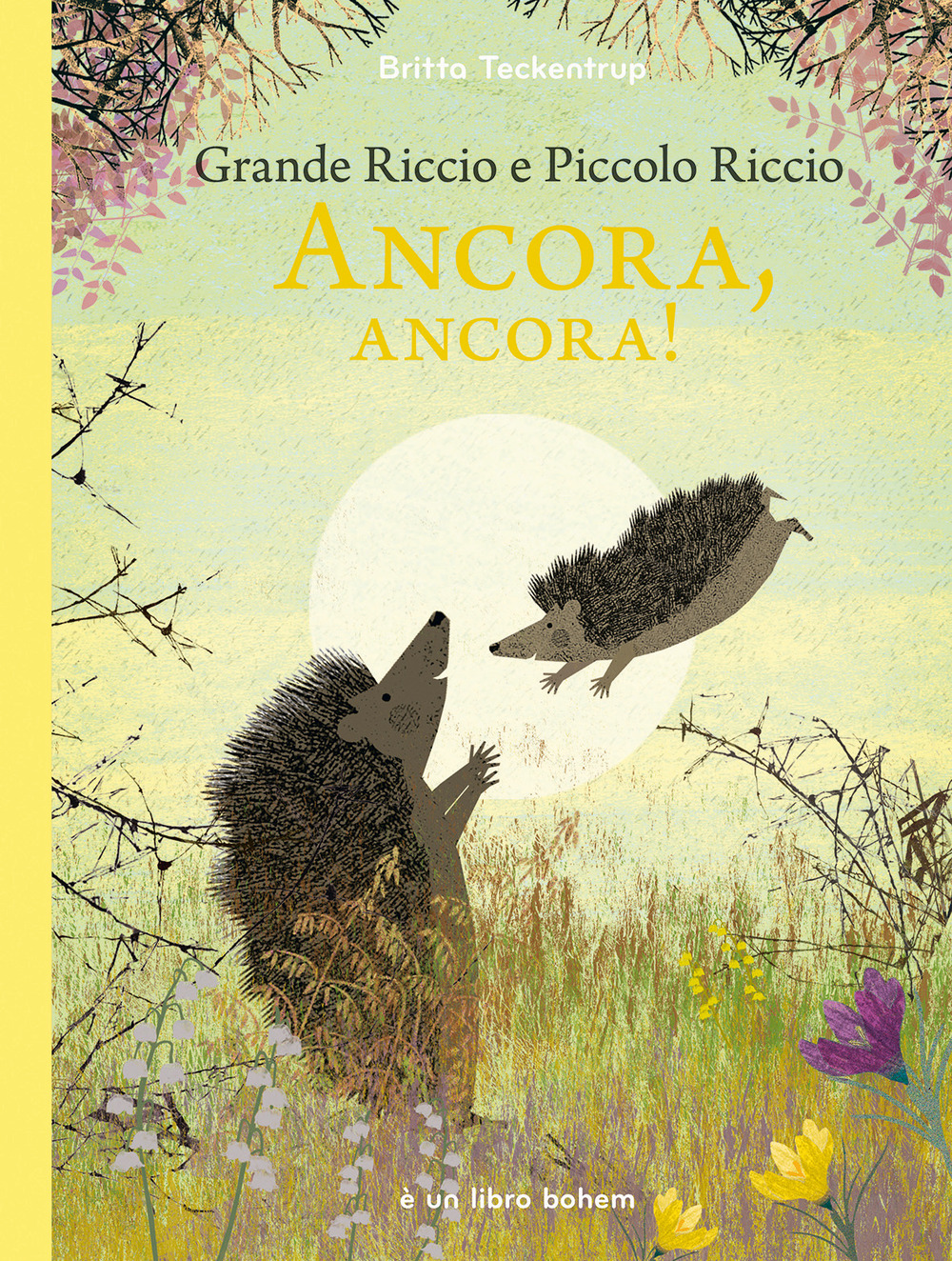 Grande riccio e piccolo riccio. Ancora, ancora! Ediz. illustrata