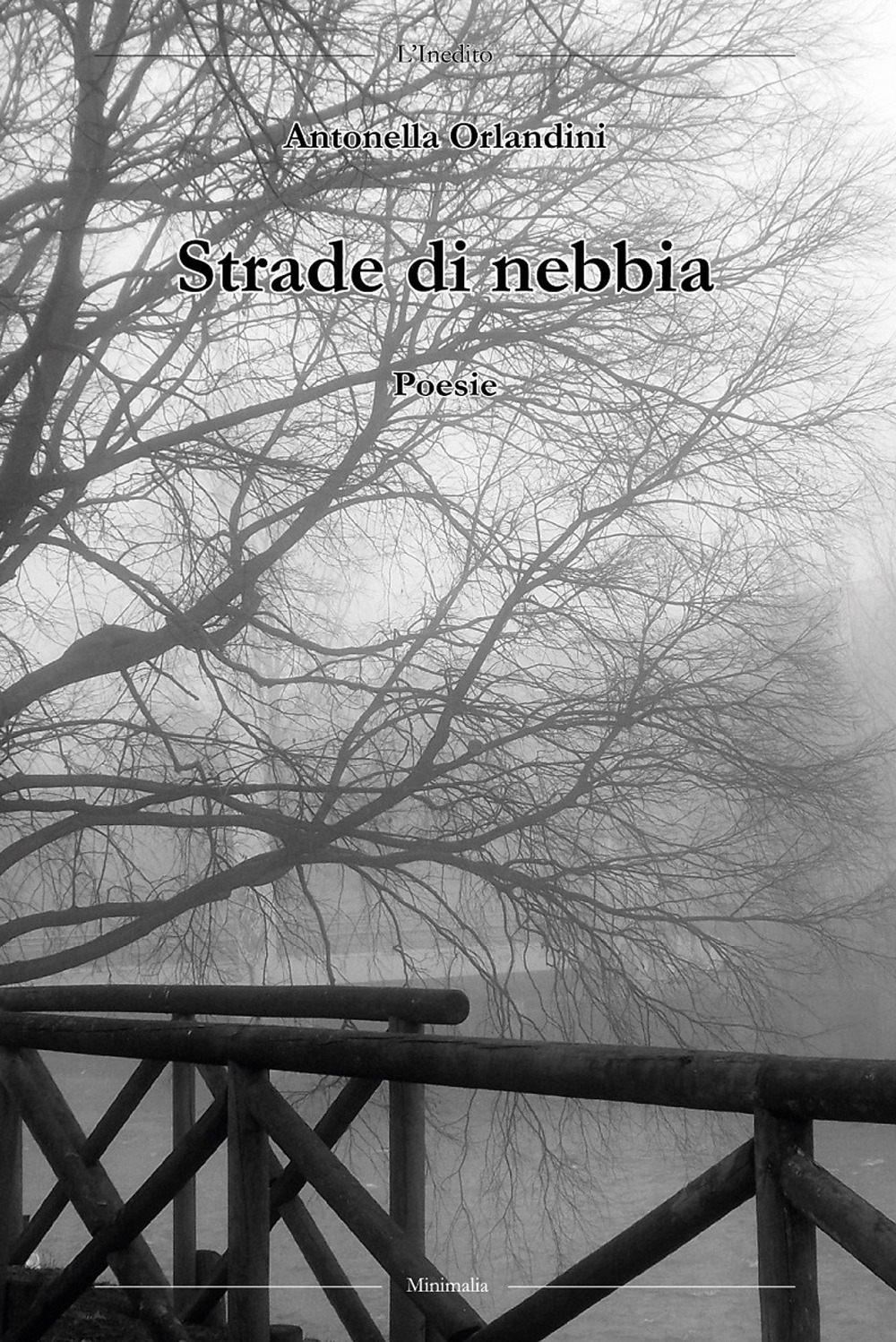 Strade di nebbia