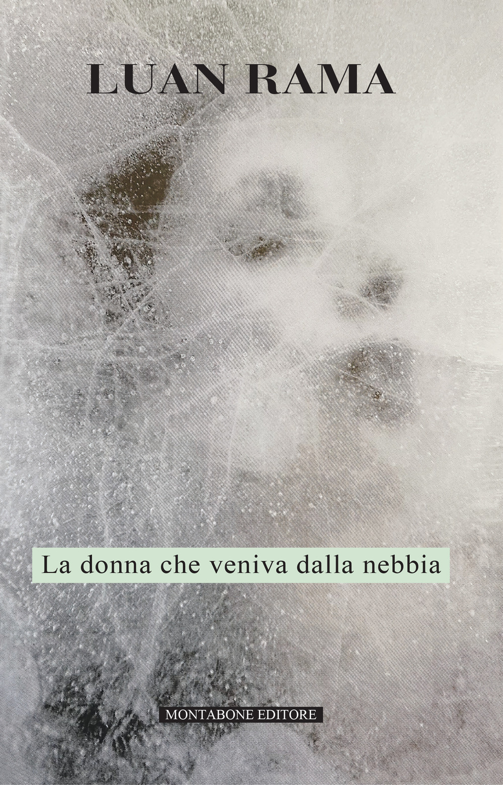 La donna che veniva dalla nebbia