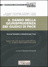 Il danno nella giurisprudenza dei giudici di pace. Itinerari tematici e istruzioni per l'uso