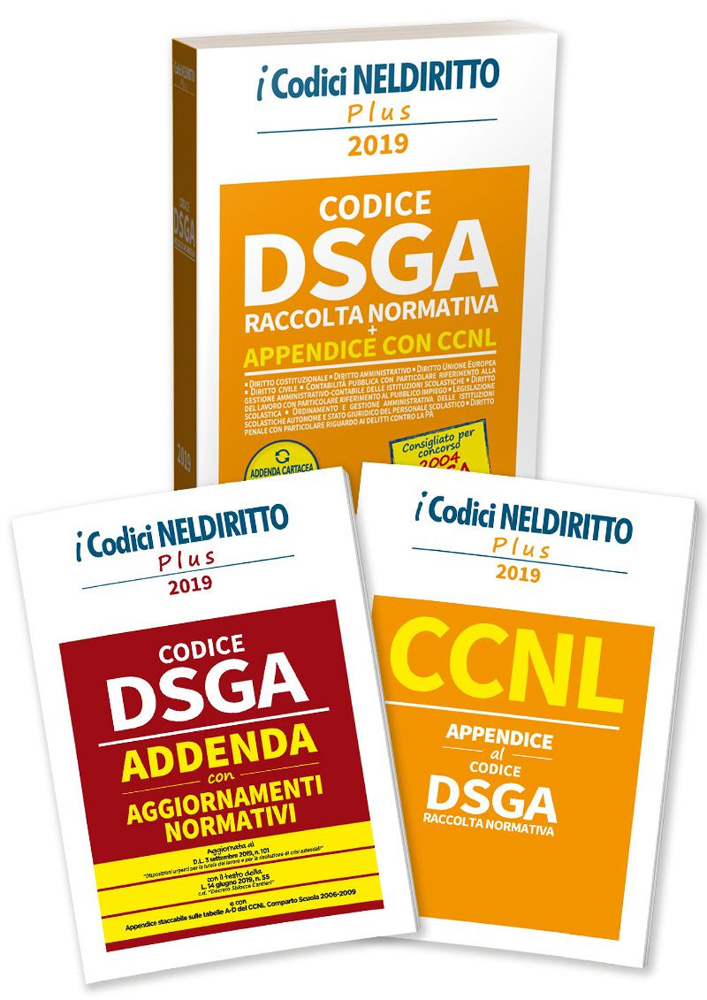 DSGA. Raccolta normativa. Concorso 2004 DSGA. Con Fascicolo: CCNL. Appendice al codice DSGA