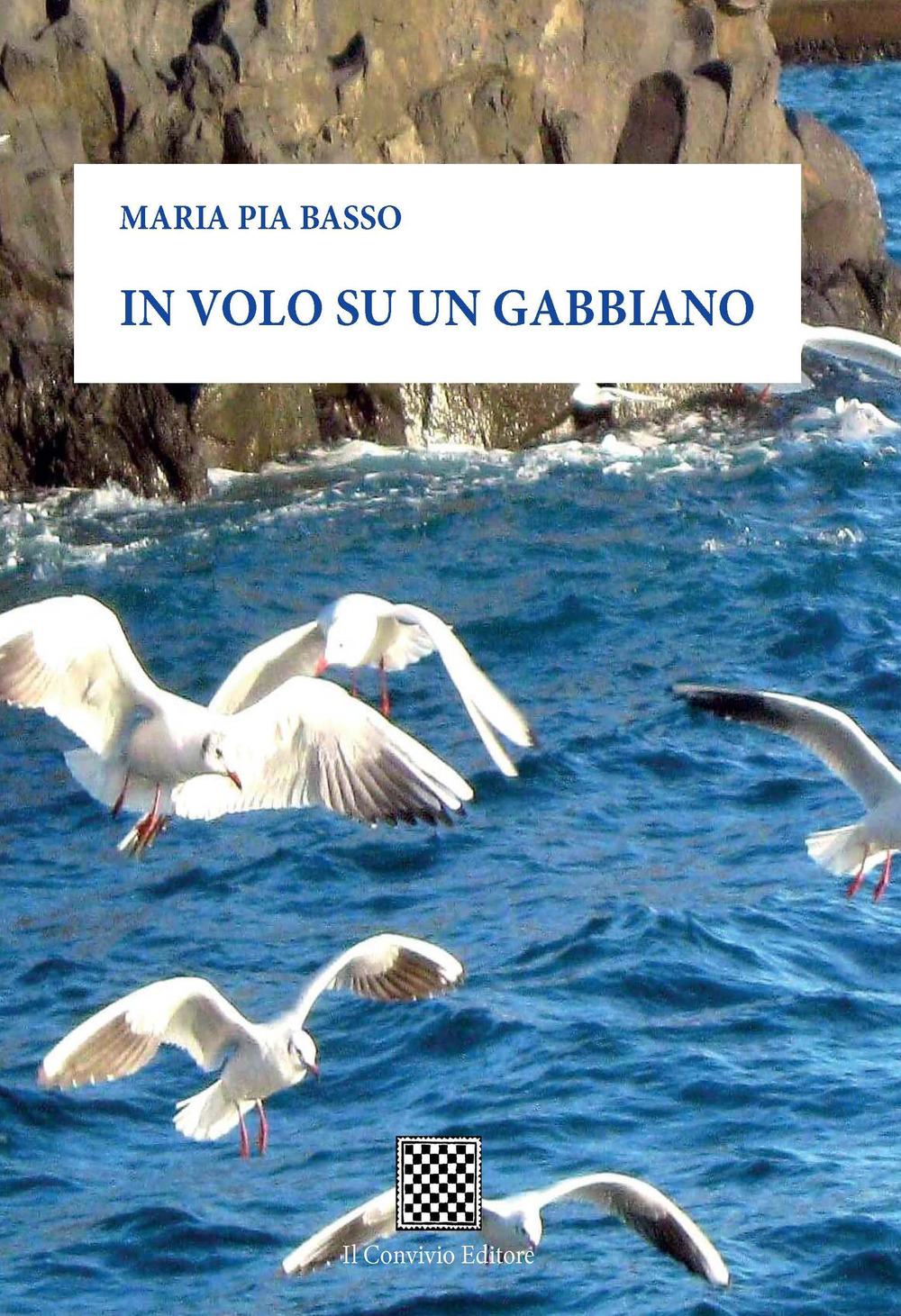 In volo su un gabbiano