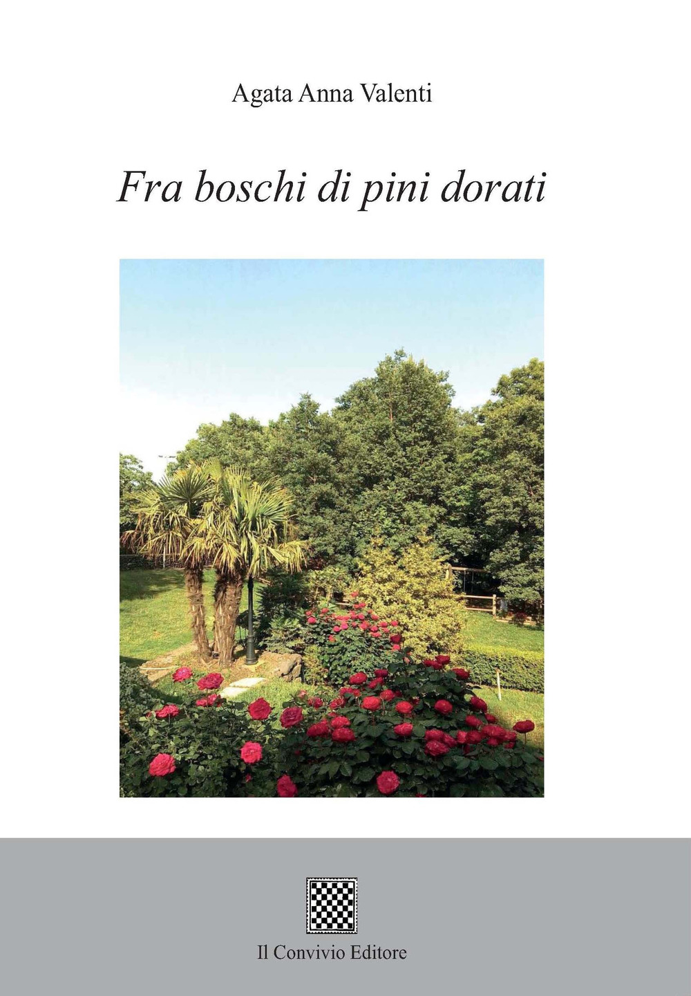 Fra boschi di pini dorati