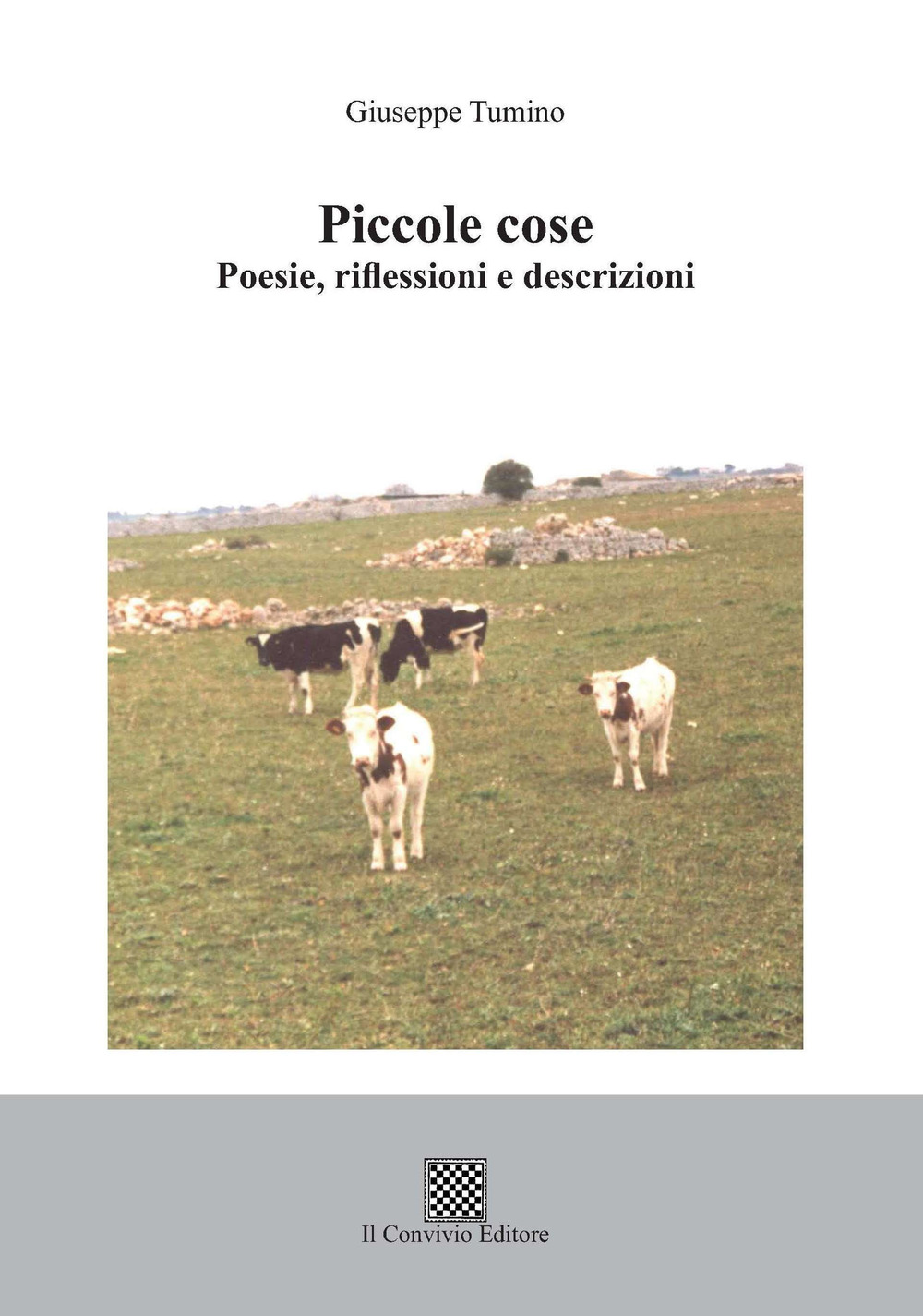 Piccole cose. Poesie, riflessioni e descrizioni