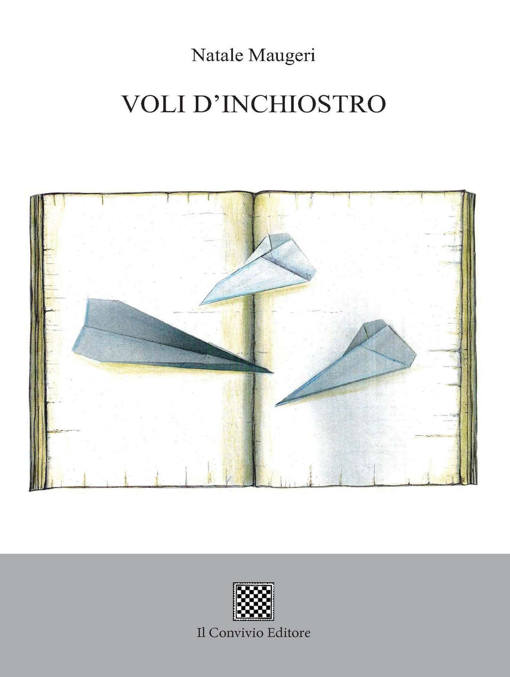 Voli d'inchiostro