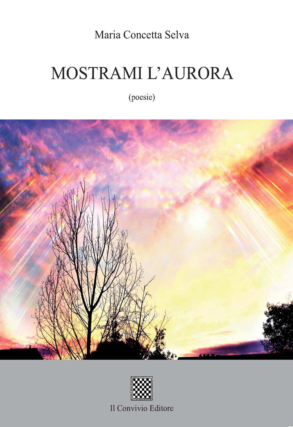 Mostrami l'aurora