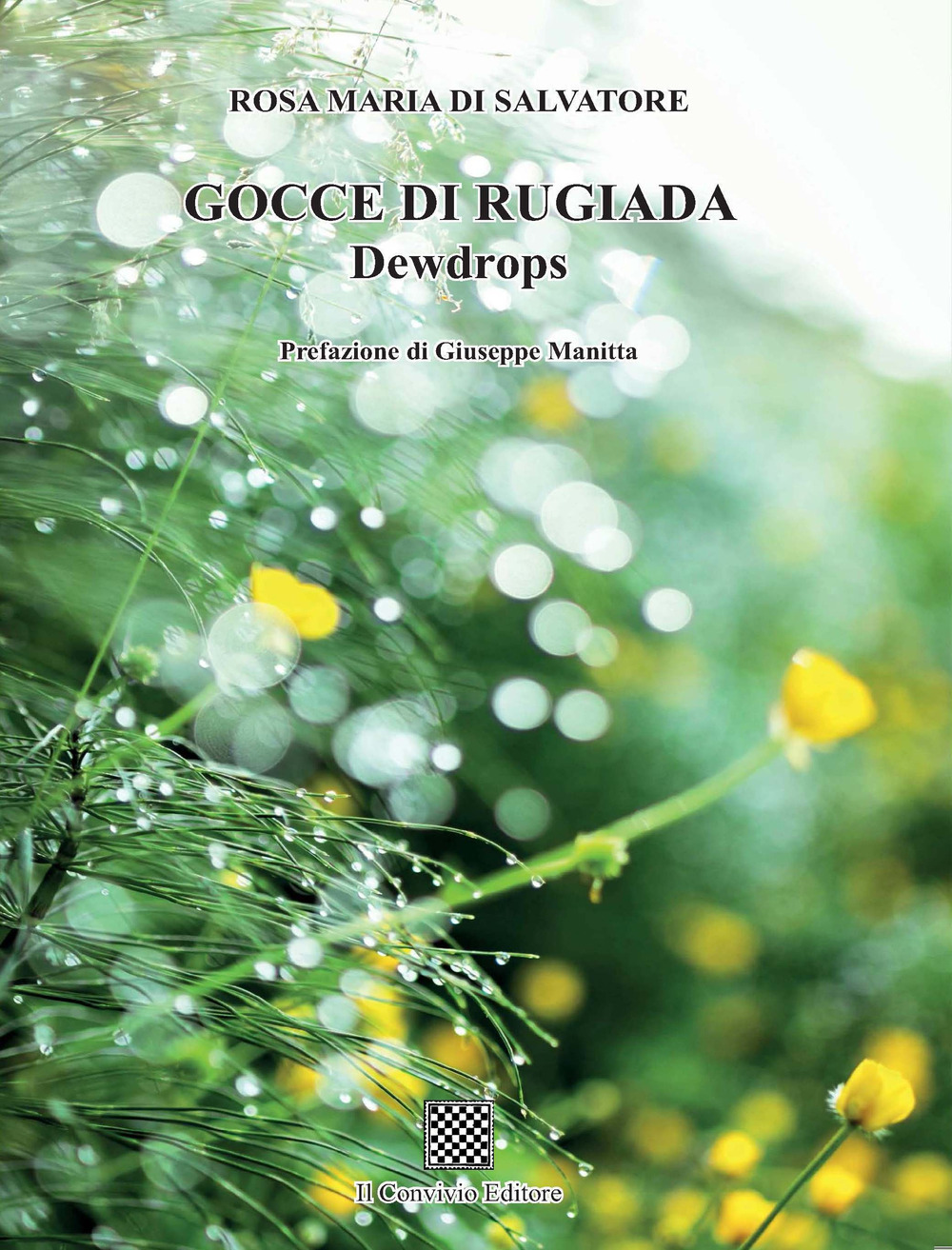 Gocce di rugiada. Dewdrops