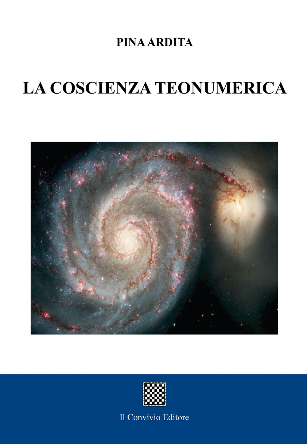 La coscienza teonumerica