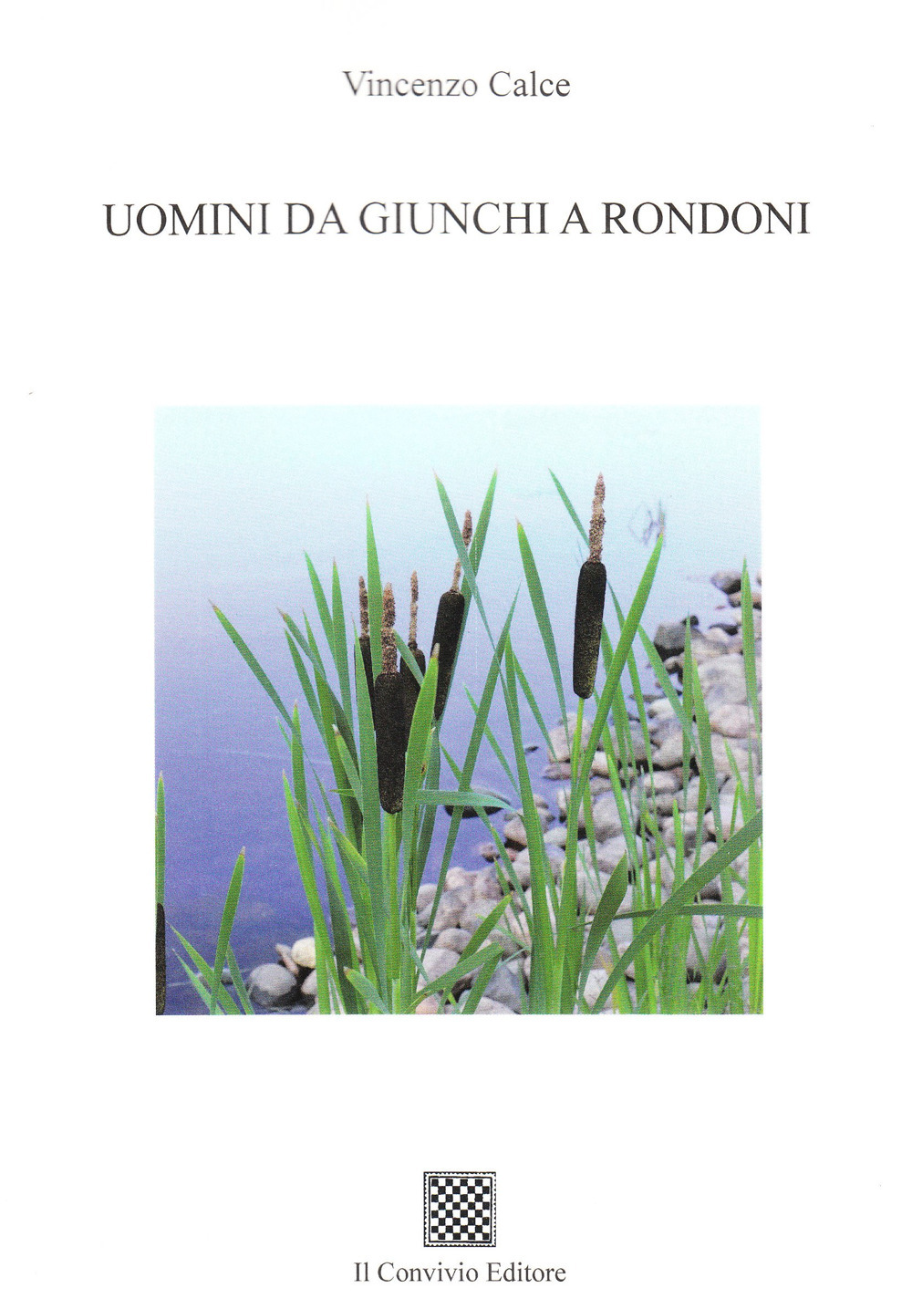 Uomini da giunchi a rondoni