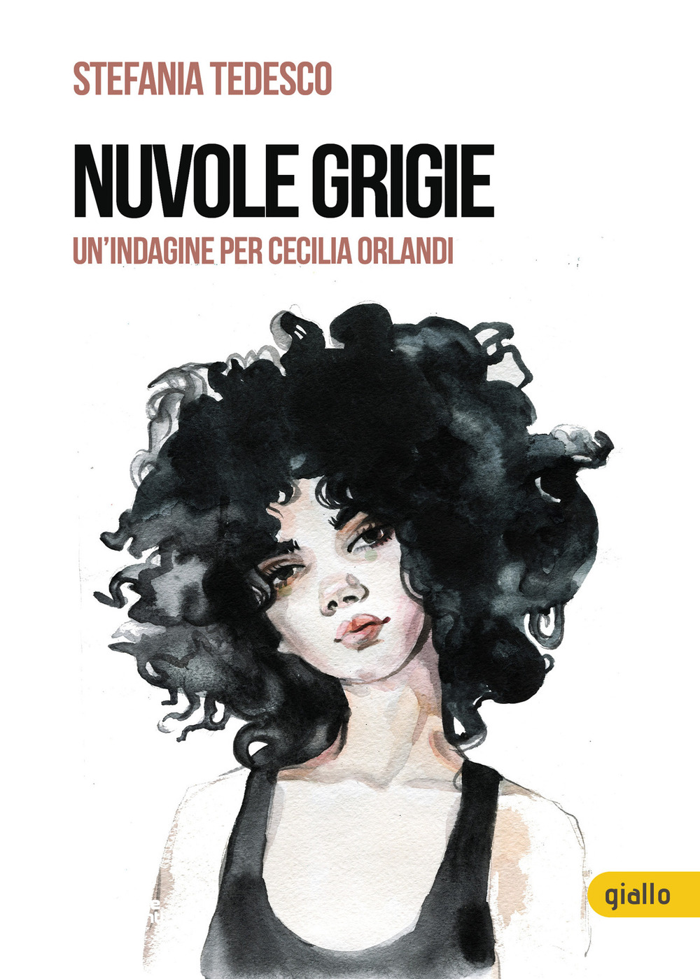 Nuvole grigie. Un'indagine per Cecilia Orlandi