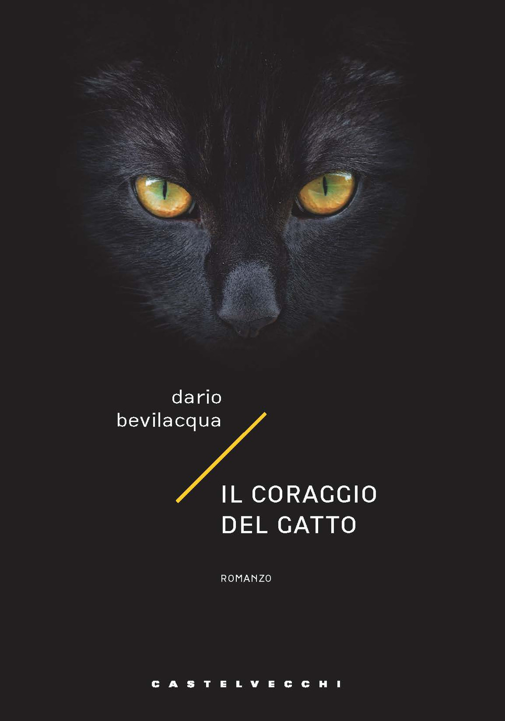 Il coraggio del gatto