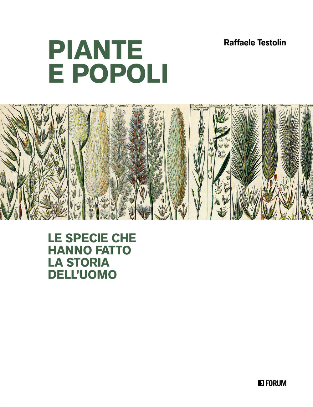 Piante e popoli. Le specie che hanno fatto la storia dell'uomo