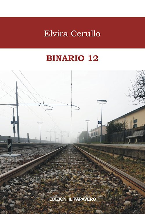 Binario 12