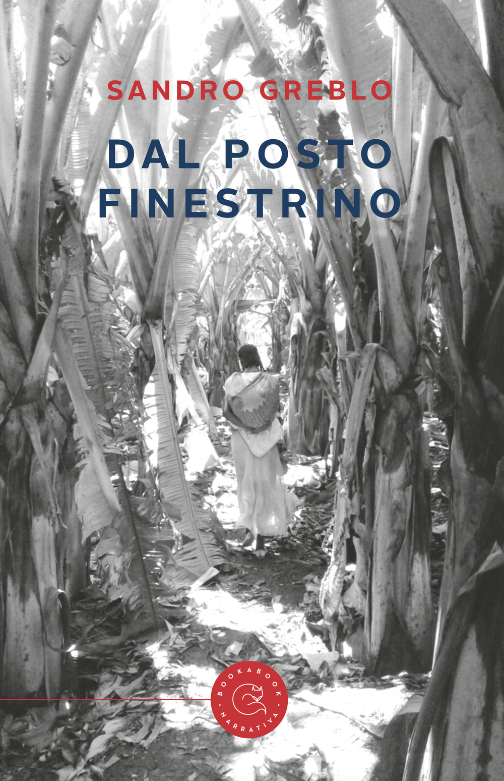 Dal posto finestrino