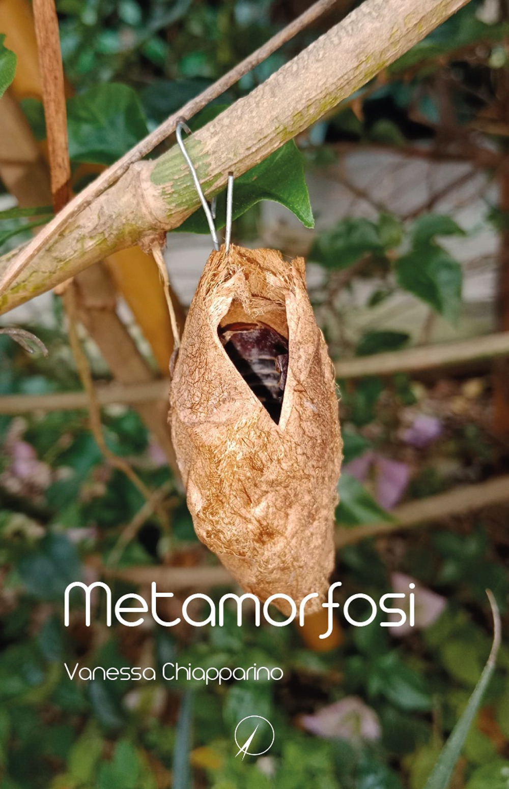 Metamorfosi