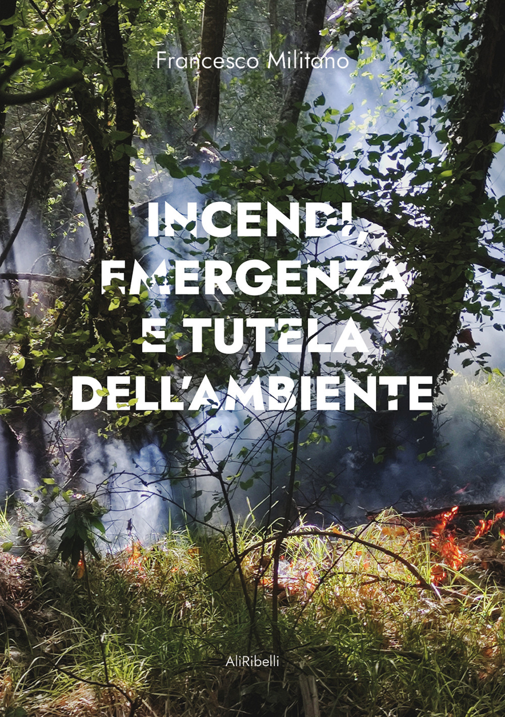 Incendi, emergenza e tutela dell'ambiente