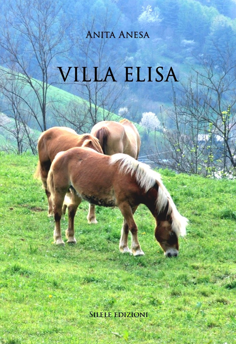 Villa Elisa