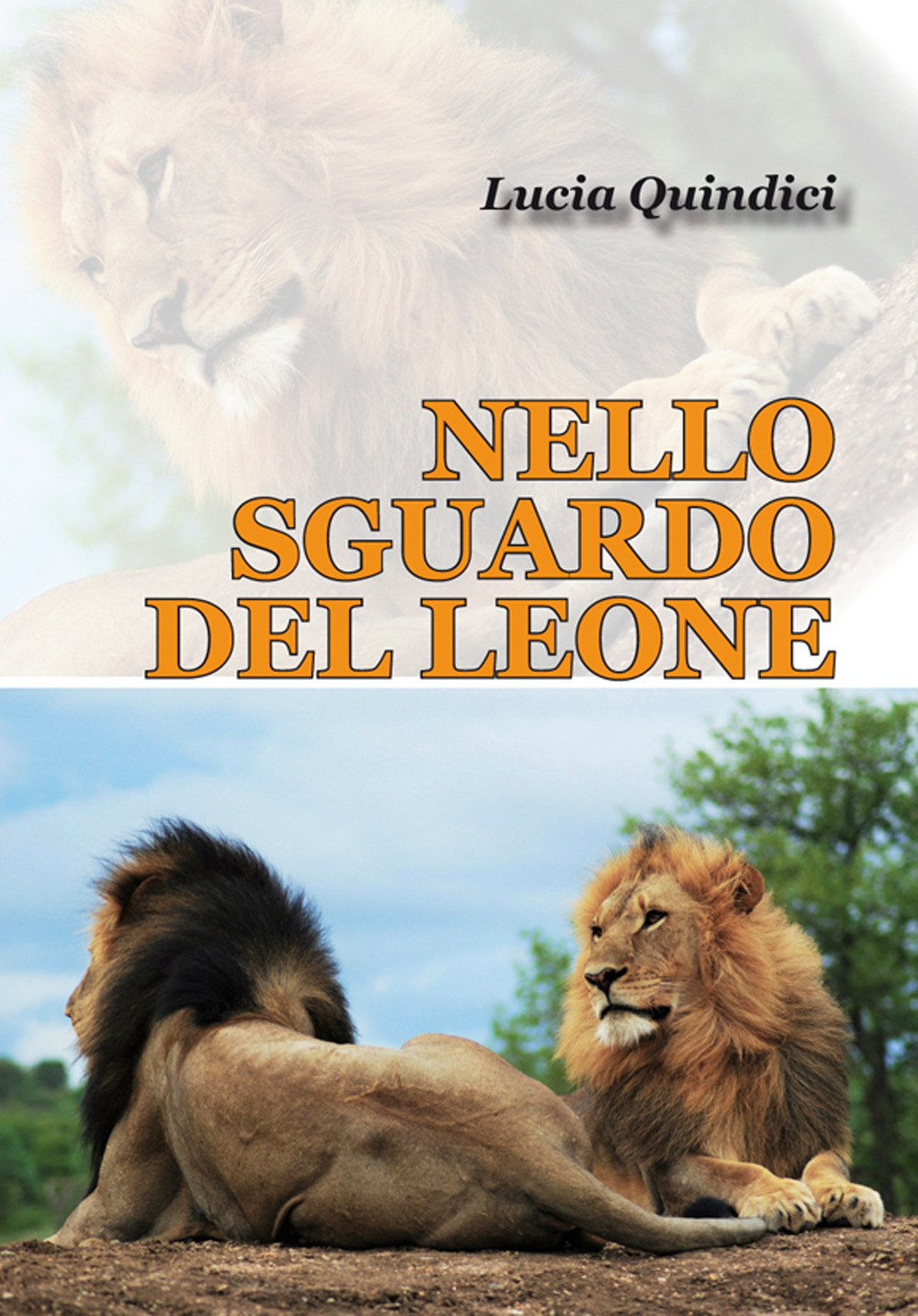 Nello sguardo del leone. 30 giorni nel bush africano