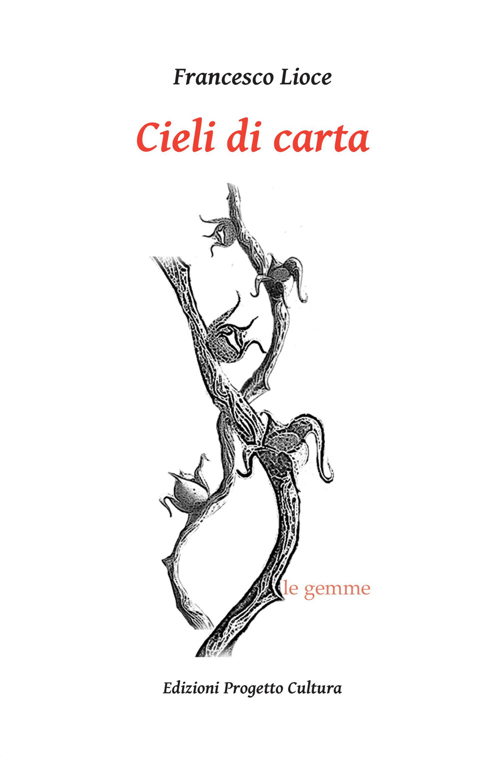 Cieli di carta