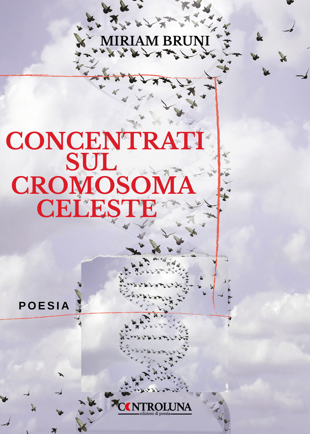 Concentrati sul cromosoma celeste