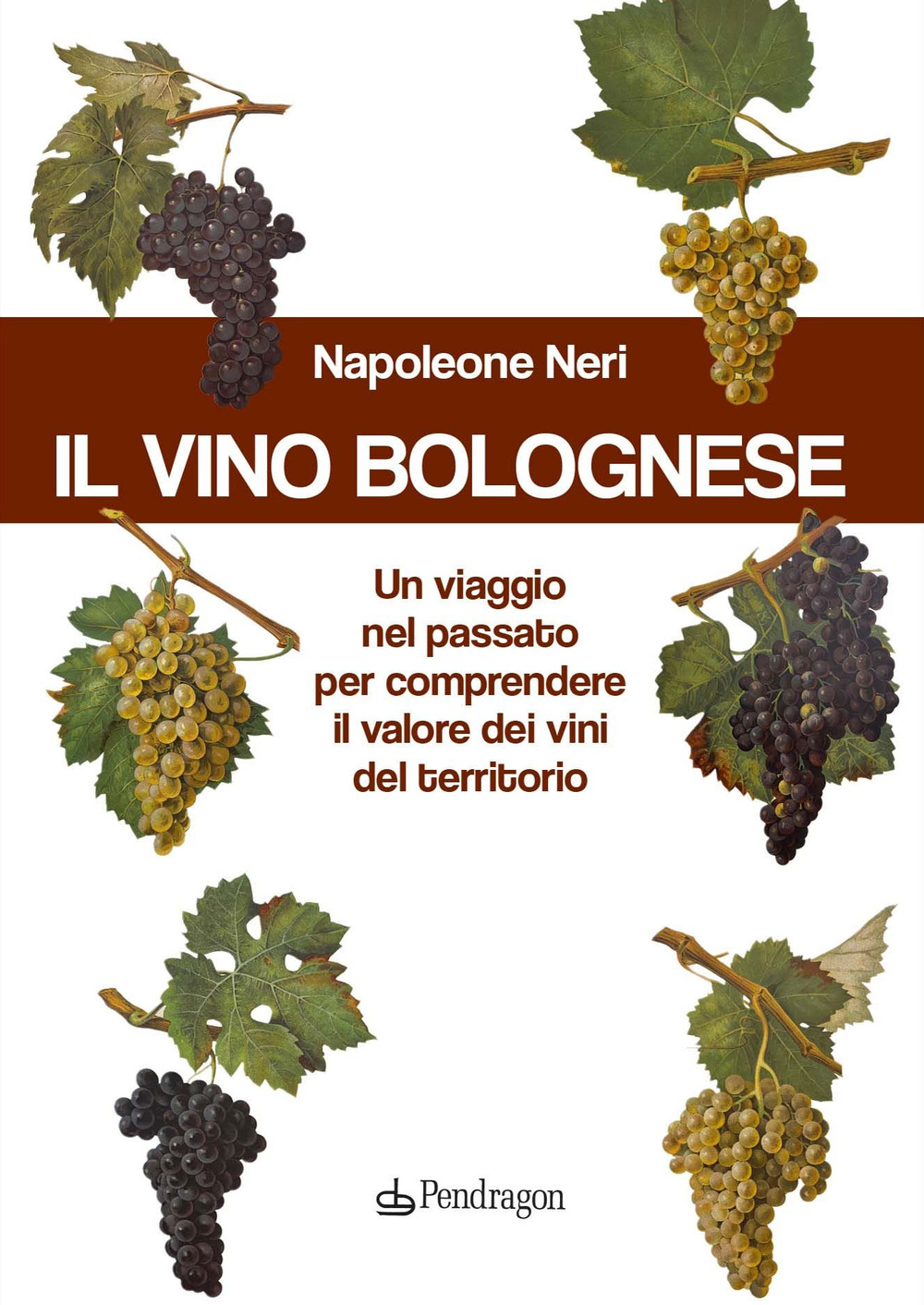 Il vino bolognese. Un viaggio nel passato per comprendere il valore dei vini del territorio