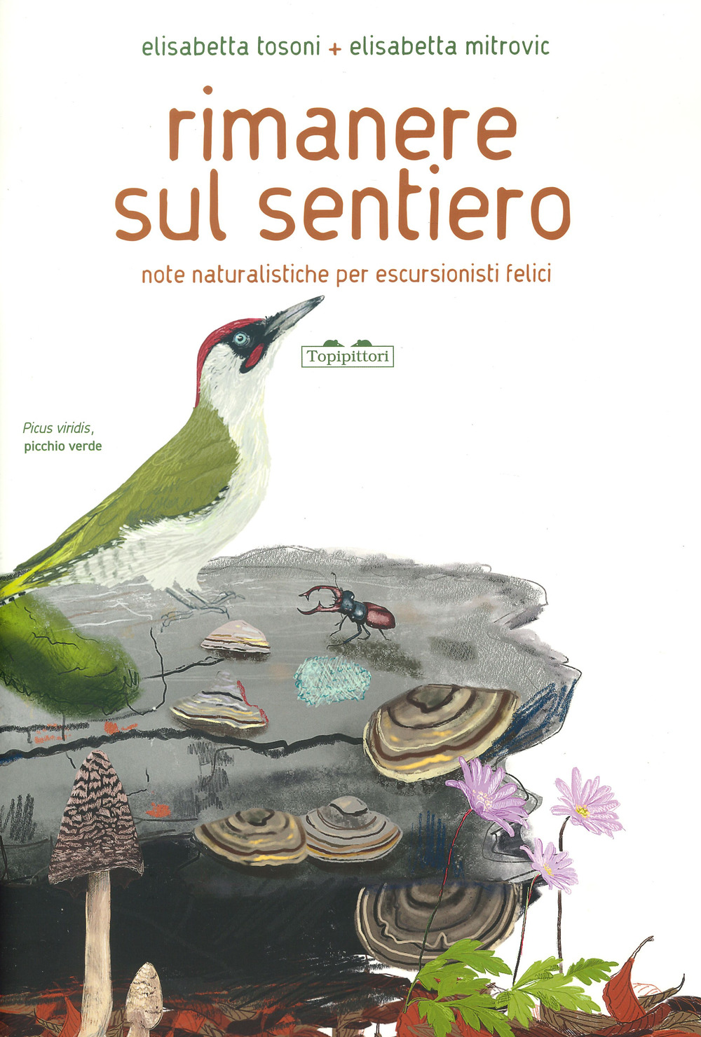 Rimanere sul sentiero. Note naturalistiche per escursionisti felici. Ediz. a colori