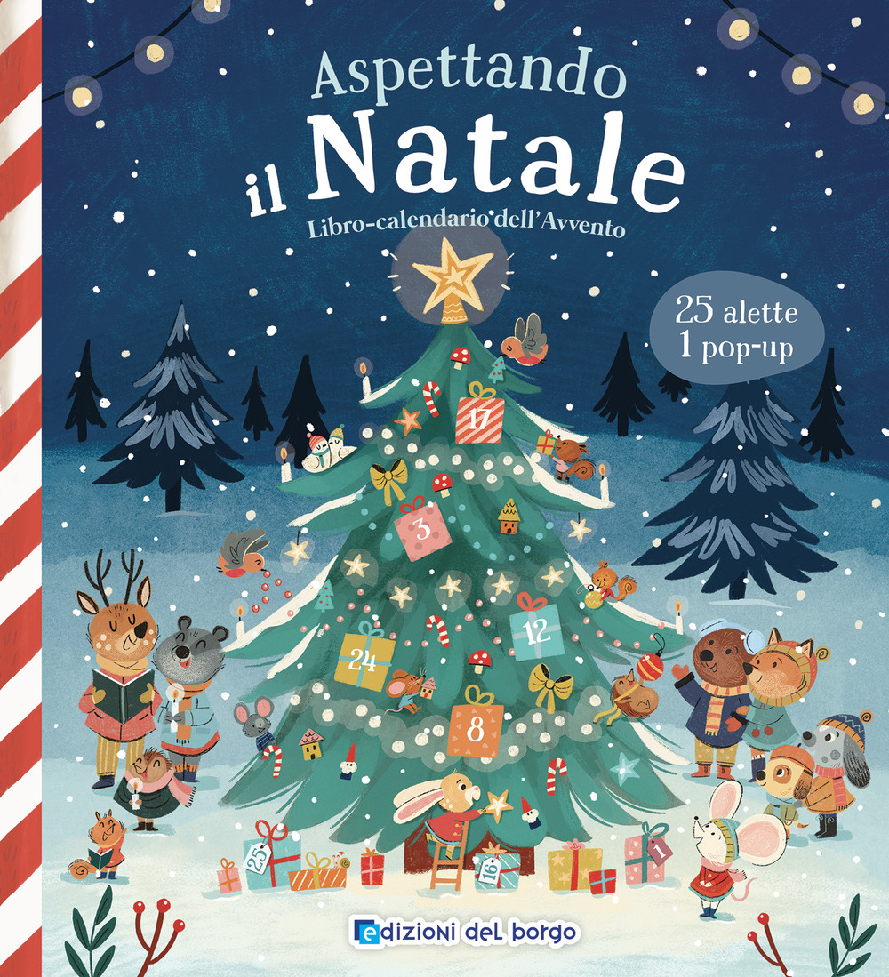 Aspettando il Natale. Libro-calendario dell'Avvento. Ediz. a colori