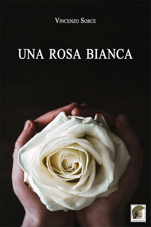 Una rosa bianca