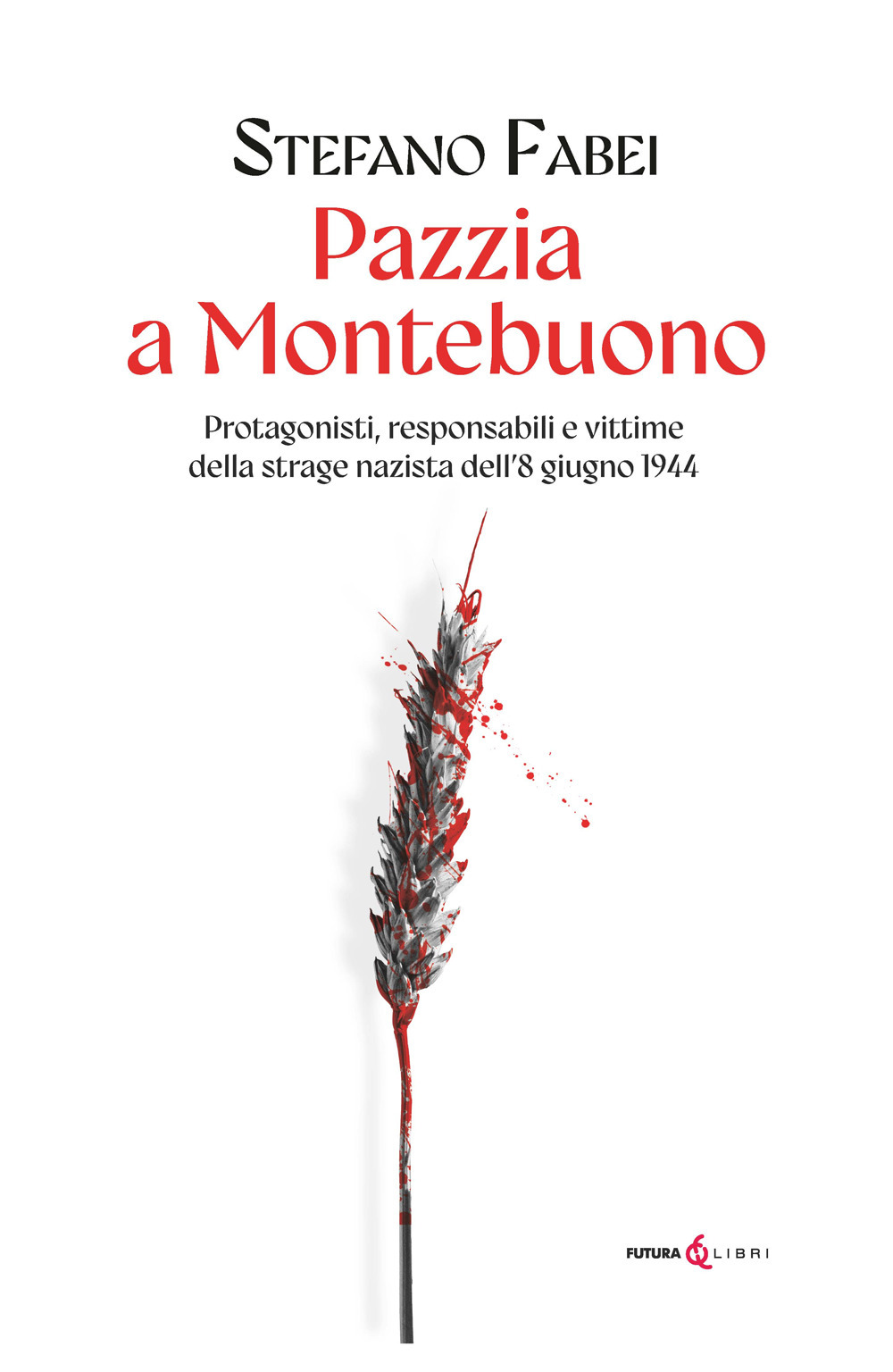 Pazzia a Montebuono. Protagonisti, responsabili e vittime della strage nazista dell'8 giugno 1944