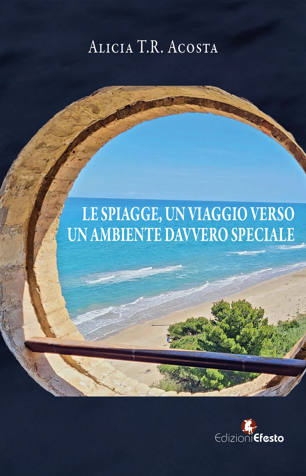 Le spiagge, un viaggio verso un ambiente davvero speciale